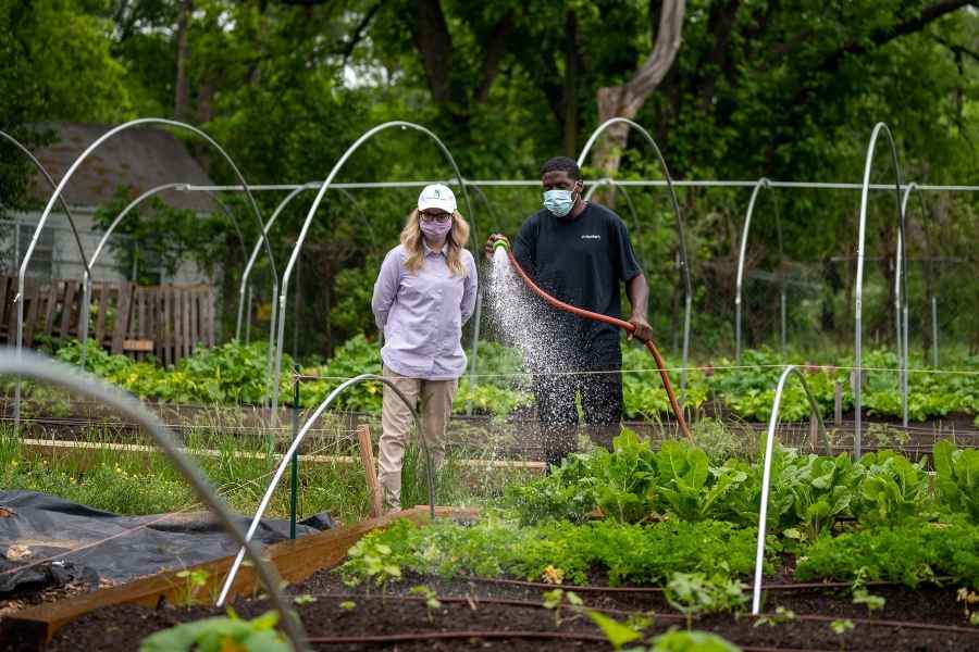 Deux personnes arrosent un jardin en permaculture pour débutants avec des tunnels de culture et des légumes variés.